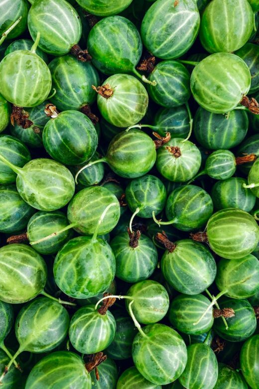 photo of unripe gooseberries