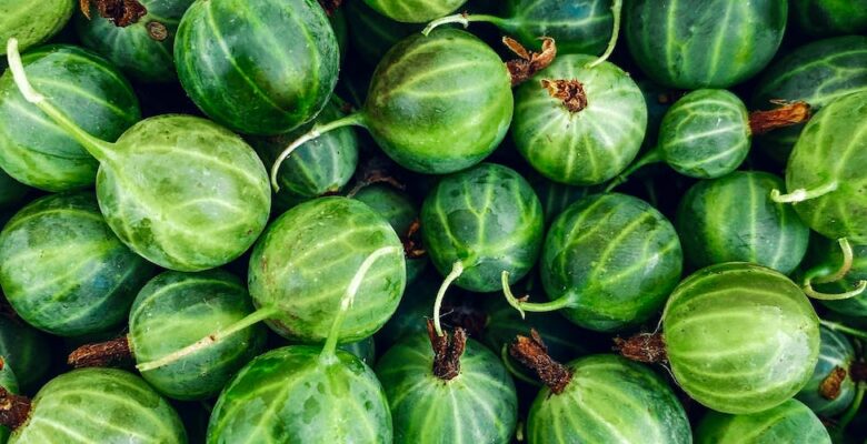 photo of unripe gooseberries