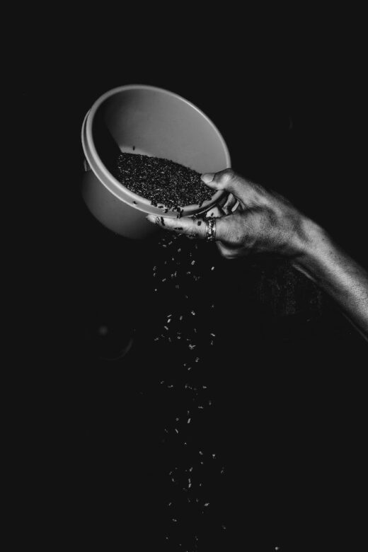 person holding a bucket of coffee beans