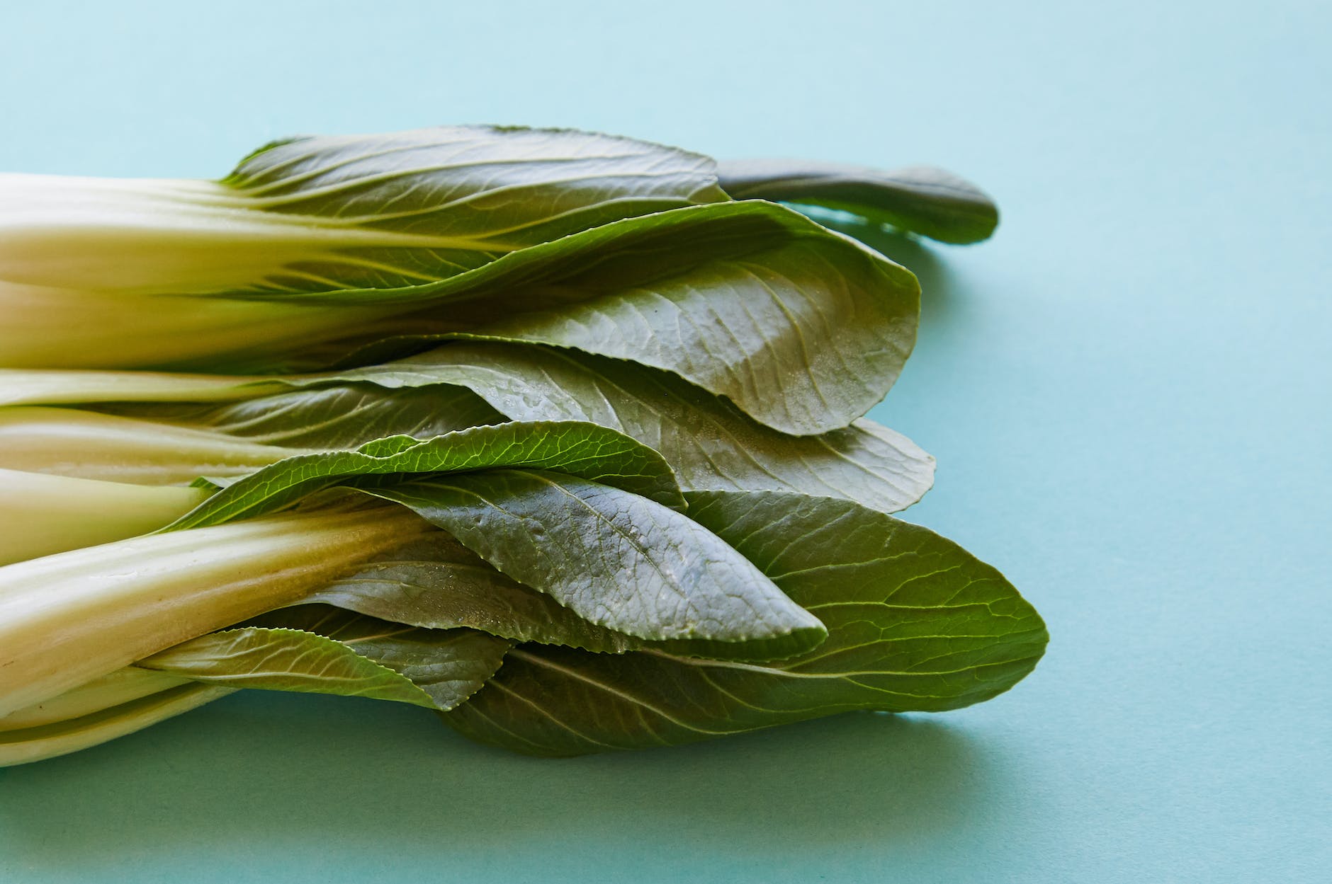 bok choy with fresh green leaves