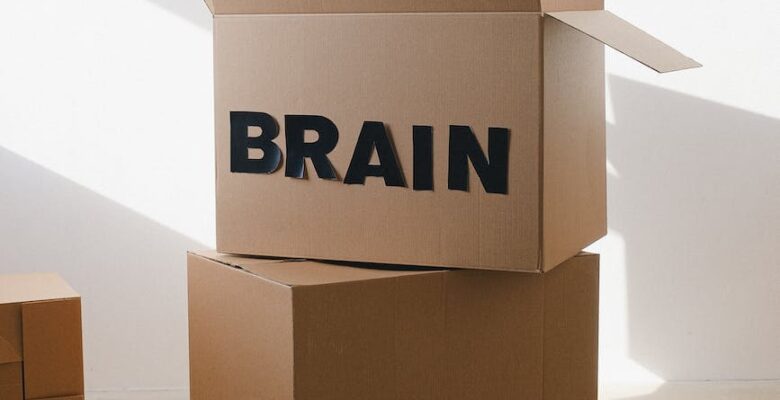 carton box with black word brain