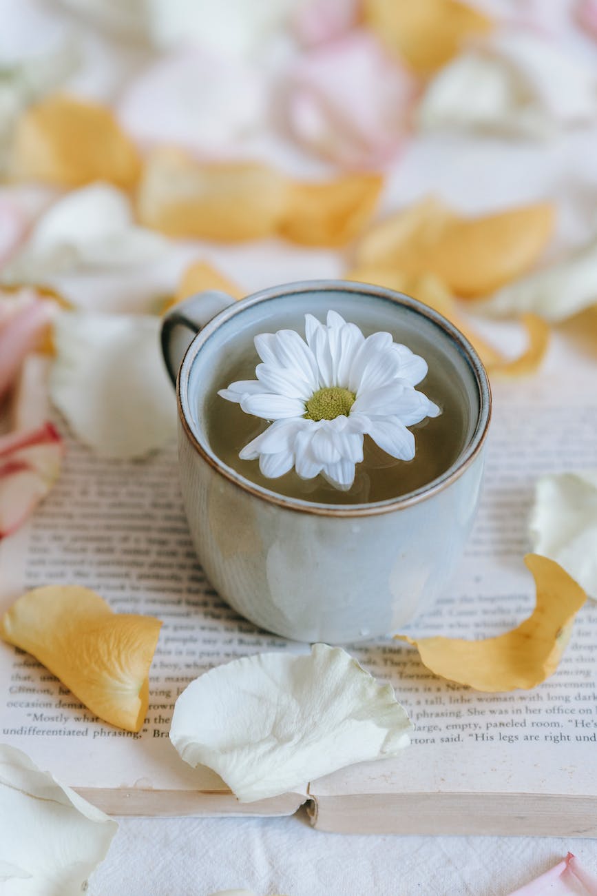 blooming chrysanthemum in cup of tea on book