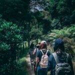 people wearing backpacks walking on pathway near green leaf plants