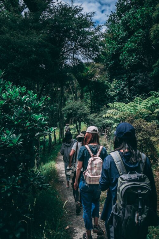 people wearing backpacks walking on pathway near green leaf plants