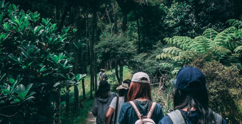 people wearing backpacks walking on pathway near green leaf plants